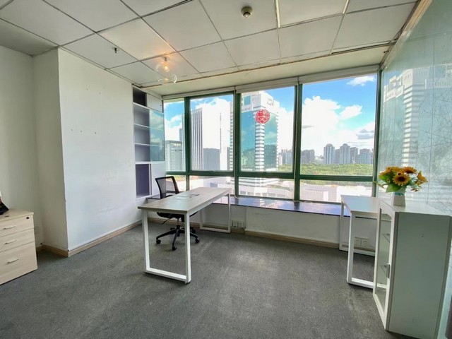 运城梨树树苗收购价格